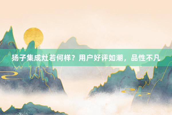 扬子集成灶若何样？用户好评如潮，品性不凡